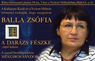 A darázs fészke