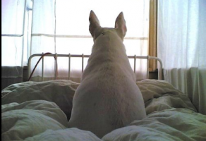 OPAL Színház (Ekszpanzió)