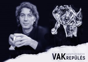 Vakrepülés Veszprémben