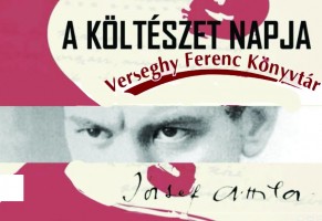 Versvideók Szolnokon