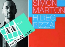 Merítési-díj (lira)