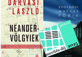 Merités-díj (próza)