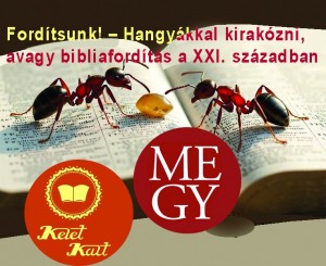 Fordítsunk! Hangyákkal