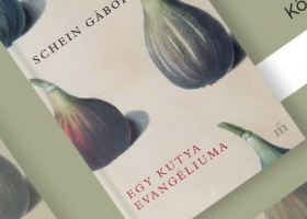 Egy kutya evangéliuma